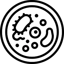 closeup of cells and microbes icon