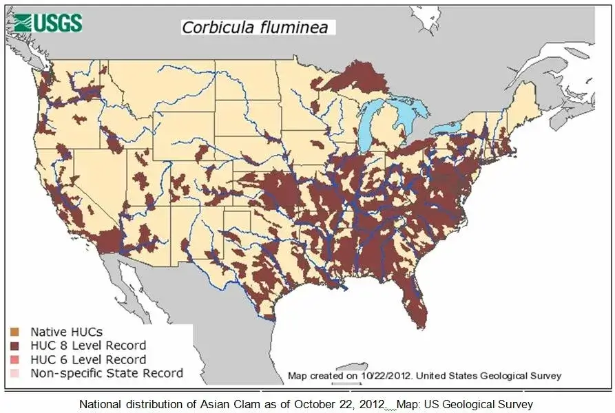 map of spread of the asian clam