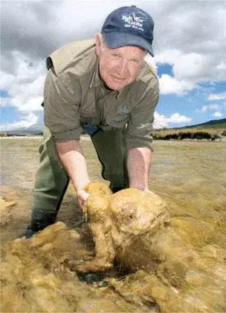 man holding a pile of Didymo in stream on New Zealand’s South Island