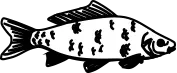 fish icon