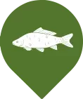 fish icon