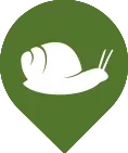 snail icon representing terrestrial animals