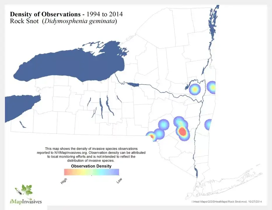 map showing the density of where Rock Snot has been found