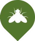 insect with wings icon