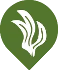 plant leaves icon