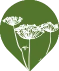 flowering weed icon representing terrestrial plants